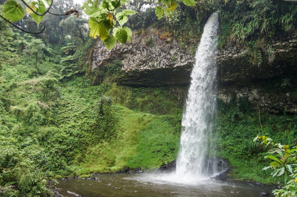 Mount Kenya experiences