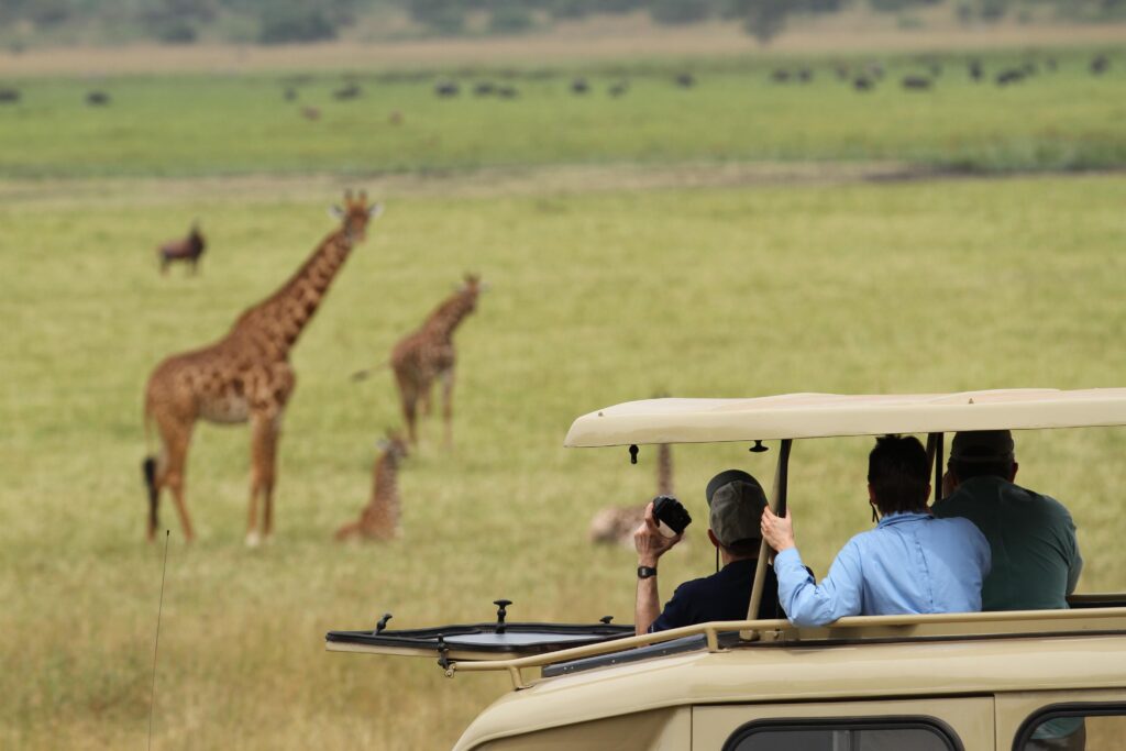 Akagera Wildlife Safaris