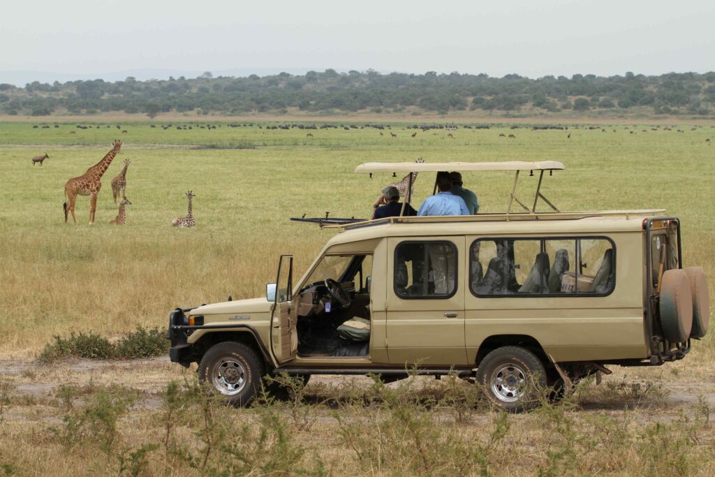 Akagera Wildlife Safari