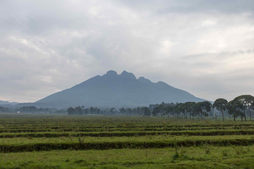Volcanoes NAtional park