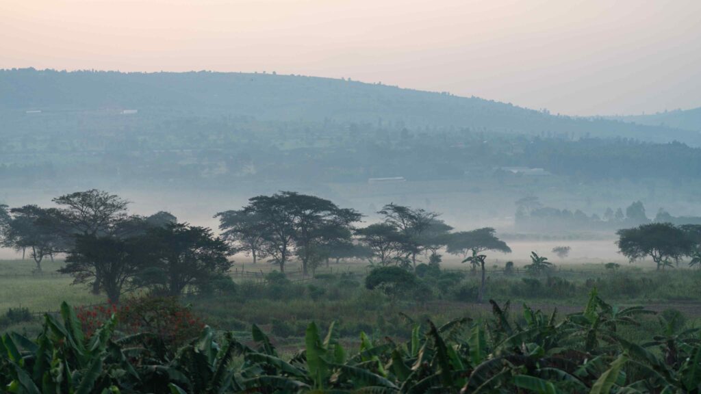 Nyungwe National Park