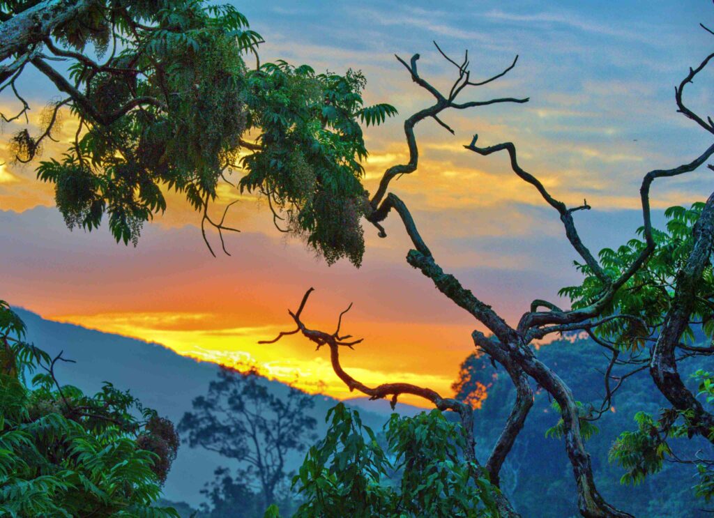 49197745131_8b989cf1f9_o