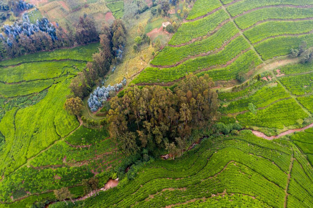 Rwanda Landscapes