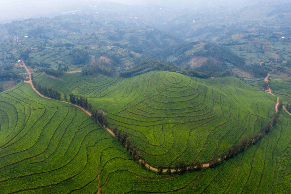 Rwanda Congo Nile trail