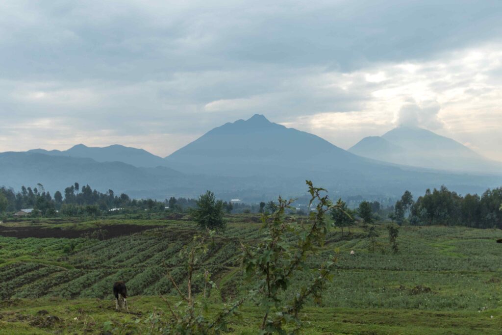 49198097337_a235553ef3_o