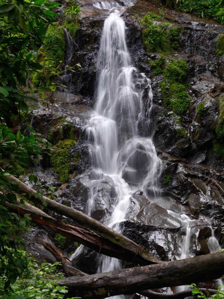 Waterfall in Nyungwe National Park