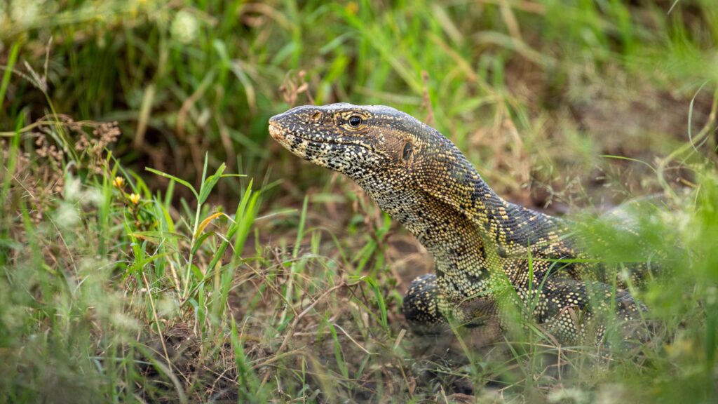 Best places to visit in Nairobi