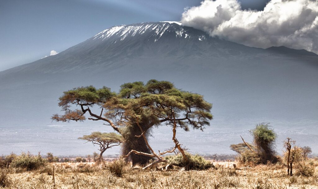 Mount Kenya Adventure