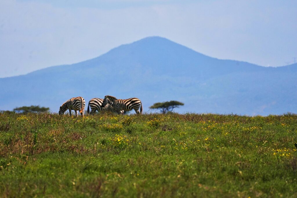 Kenya best tours