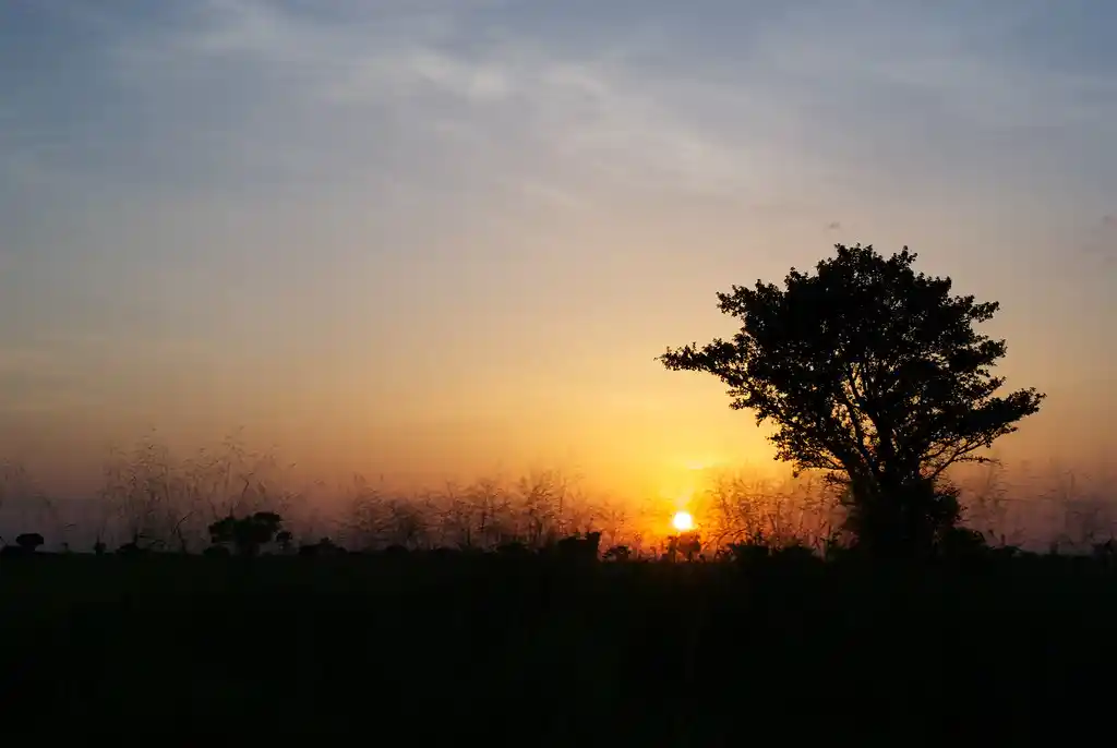 Culture Experience in Uganda