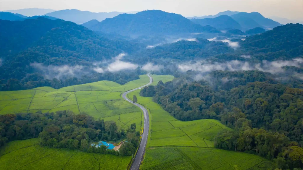 nyungwe-national-park_Landscape