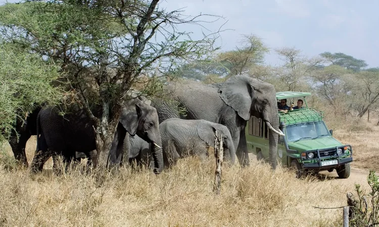 Is-uganda-good-for-safari-1200x675-2-750x450
