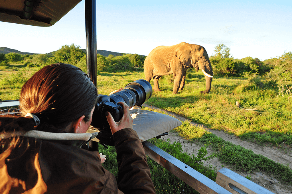 Photography-in-Serengeti