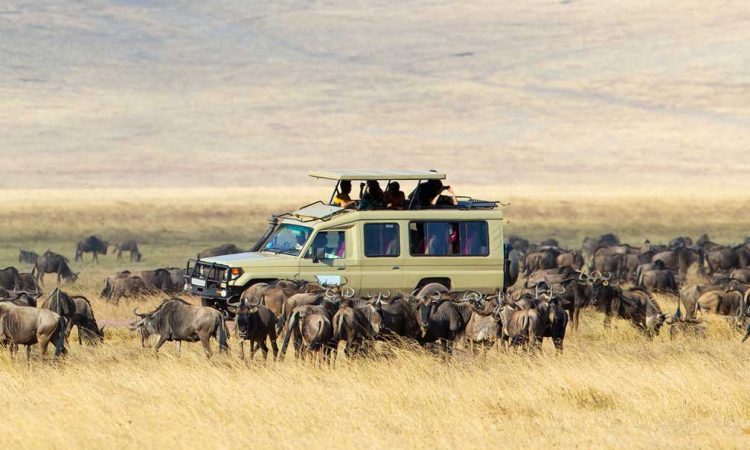 Serengeti-National-Park-2-750x450