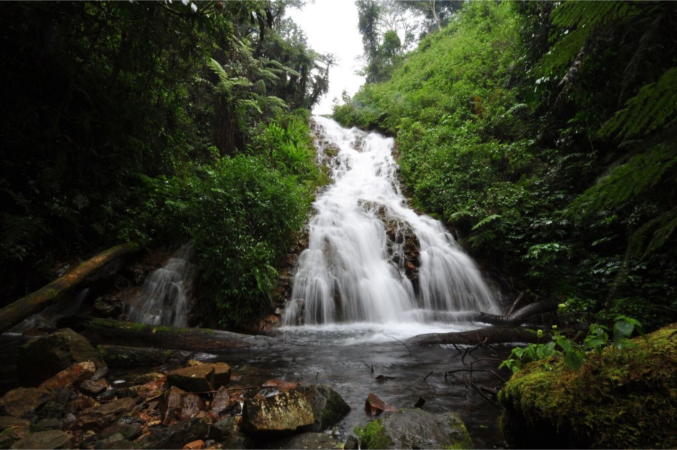 sanctuary-gorilla-forest-camp-views-waterfall-01.5f1fe0c8 (1)